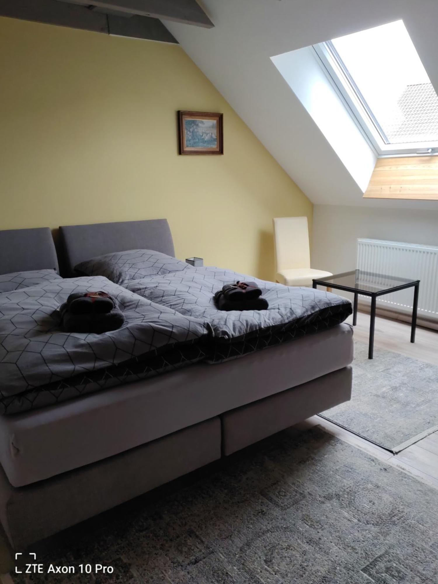 Alte Oelmuehle, Spaeter Schaefershaus Donaueschingen Eksteriør bilde
